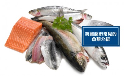 英國(guó)超市常見(jiàn)的魚(yú)類(lèi)