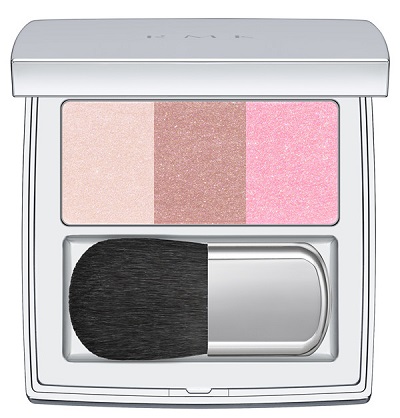 Color_Performance_Cheeks_case