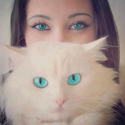 821ef5541023141b1089e84790abd90c