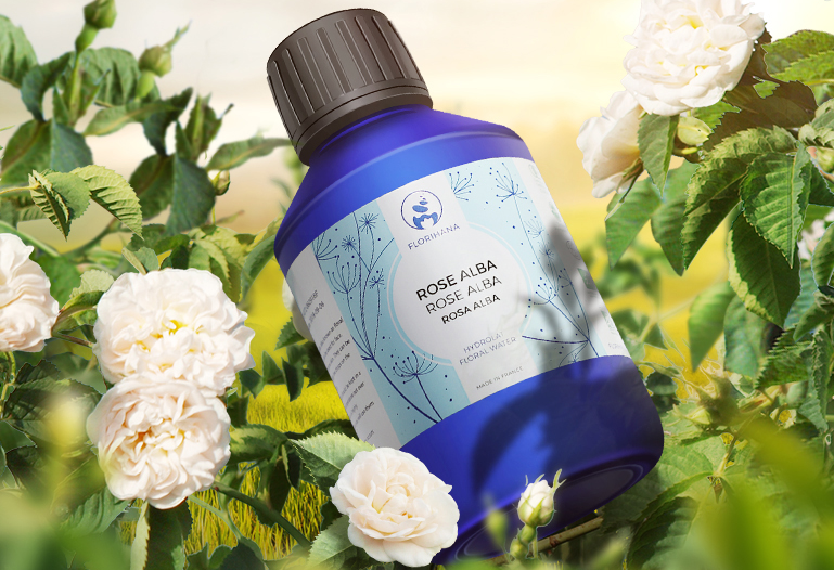 世界十大玫瑰純露排行榜 成份純凈無刺激，最天然的護(hù)膚產(chǎn)品