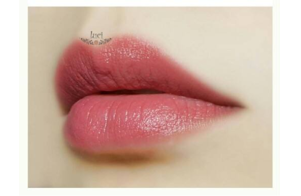 溫柔知性口紅排行榜10強(qiáng) 一抹讓你秒變氣質(zhì)女神