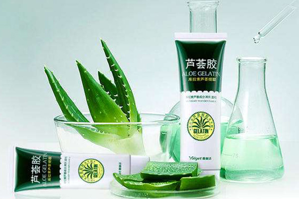 純天然蘆薈膠排行榜