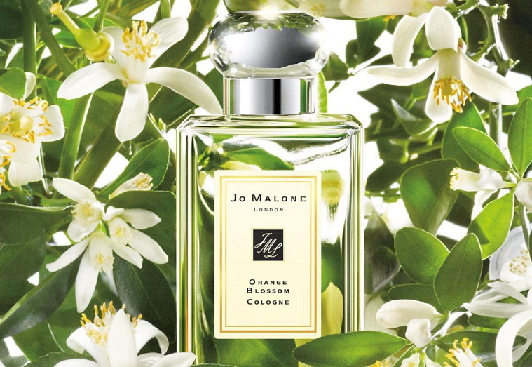 祖馬龍香水味道排名 你最愛的是哪一款呢