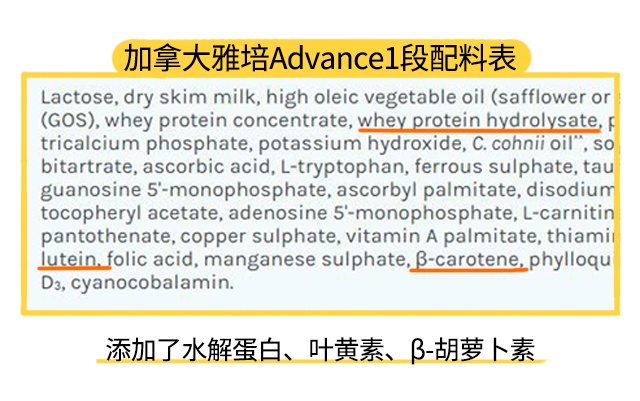 加拿大雅培Advance1段配料表