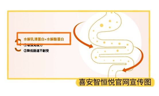 喜安智天貓旗艦店宣傳圖