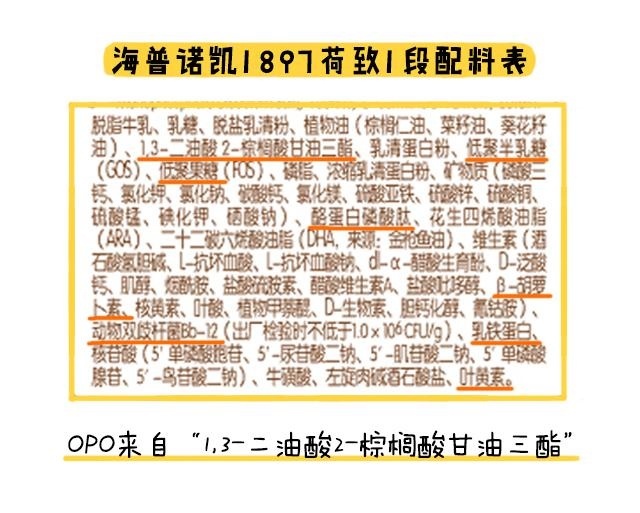 海普諾凱1897荷致1段OPO