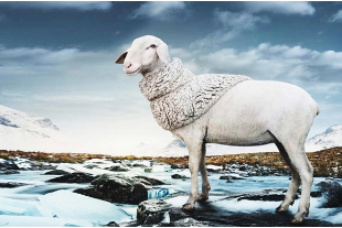 悉尼購(gòu)物必買清單：澳洲購(gòu)物必買清單