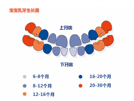 寶寶多大開始刷牙？寶寶牙刷牙膏如何選購？