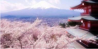 日本煤爐代拍好物首選千紙鶴日淘平臺(tái) 新手小白輕松日淘