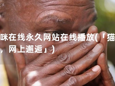 貓咪在線永久網站在線播放(「貓與人，網上邂逅」)