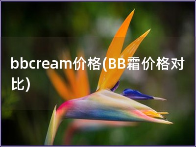bbcream價格(BB霜價格對比)