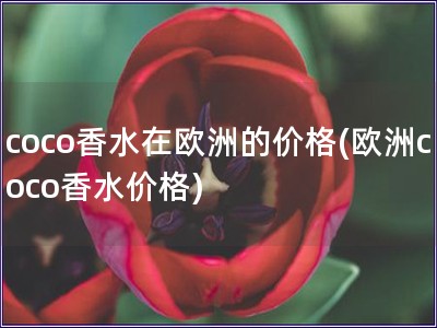 coco香水在歐洲的價格(歐洲coco香水價格)