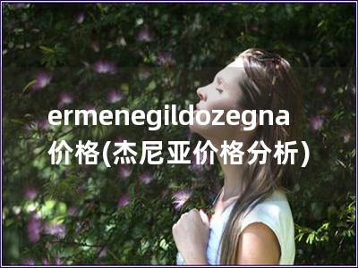 ermenegildozegna價格(杰尼亞價格分析)