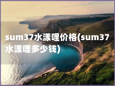 sum37水漾哩價格(sum37水漾哩多少錢)