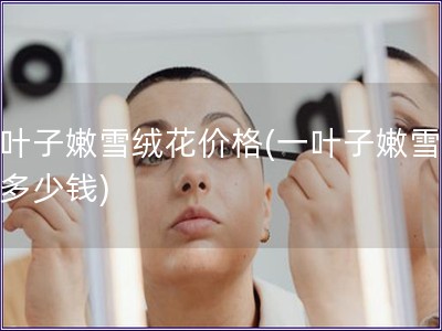 一葉子嫩雪絨花價格(一葉子嫩雪絨花多少錢)