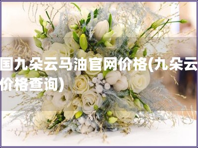 中國九朵云馬油官網(wǎng)價格(九朵云馬油價格查詢)