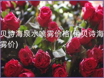 伊貝詩海泉水噴霧價格(伊貝詩海泉噴霧價)