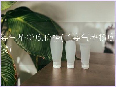 蘭姿氣墊粉底價格(蘭姿氣墊粉底多少錢)