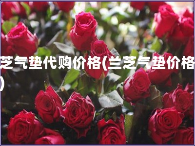 蘭芝氣墊代購價格(蘭芝氣墊價格查詢)