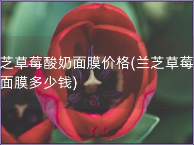 蘭芝草莓酸奶面膜價格(蘭芝草莓酸奶面膜多少錢)