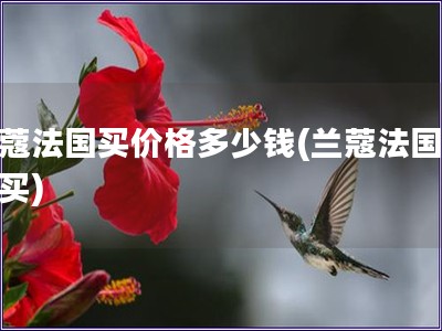 蘭蔻法國買價格多少錢(蘭蔻法國哪里買)