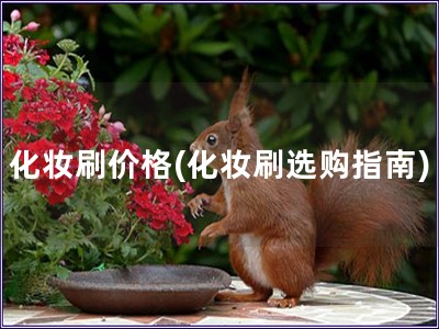 化妝刷價格(化妝刷選購指南)