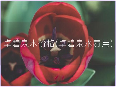 卓碧泉水價格(卓碧泉水費用)