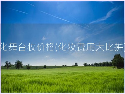 化舞臺妝價格(化妝費用大比拼)