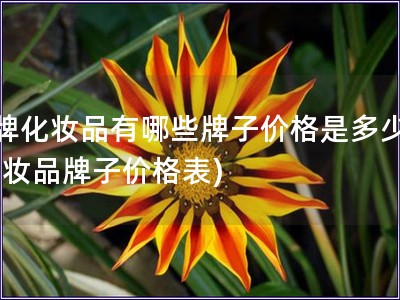 品牌化妝品有哪些牌子價格是多少錢(化妝品牌子價格表)