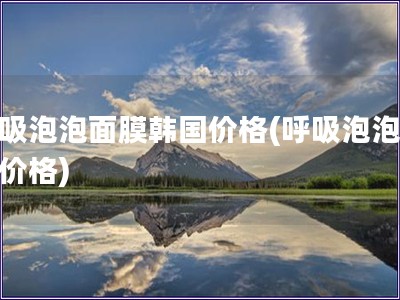 呼吸泡泡面膜韓國價格(呼吸泡泡面膜價格)