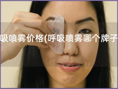 呼吸噴霧價格(呼吸噴霧哪個牌子好)