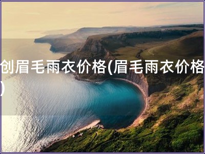 大創眉毛雨衣價格(眉毛雨衣價格查詢)