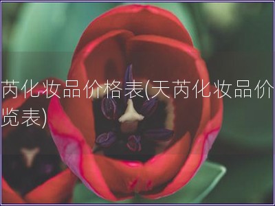 天芮化妝品價格表(天芮化妝品價格一覽表)