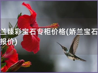 嬌蘭臻彩寶石專柜價格(嬌蘭寶石專柜報價)