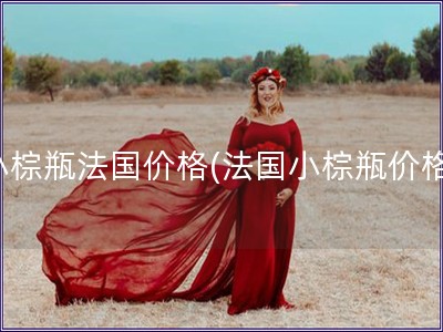 小棕瓶法國價格(法國小棕瓶價格)