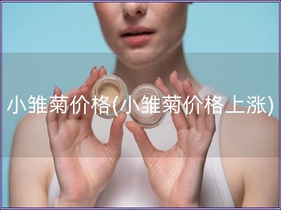 小雛菊價(jià)格(小雛菊價(jià)格上漲)