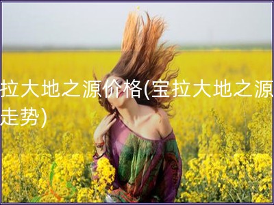 寶拉大地之源價(jià)格(寶拉大地之源價(jià)格走勢)