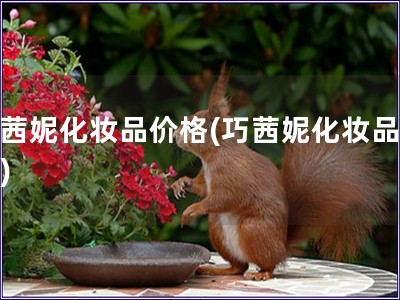 巧茜妮化妝品價格(巧茜妮化妝品報價)