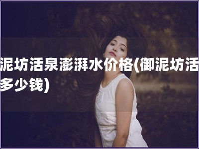 御泥坊活泉澎湃水價格(御泥坊活泉水多少錢)