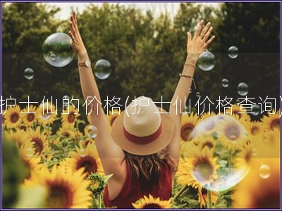 護士仙的價格(護士仙價格查詢)