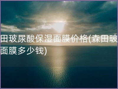 森田玻尿酸保濕面膜價(jià)格(森田玻尿酸面膜多少錢(qián))