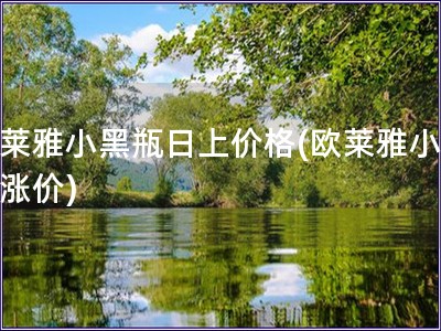 歐萊雅小黑瓶日上價(jià)格(歐萊雅小黑瓶漲價(jià))