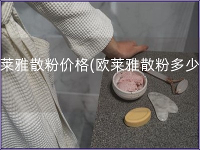 歐萊雅散粉價格(歐萊雅散粉多少錢)
