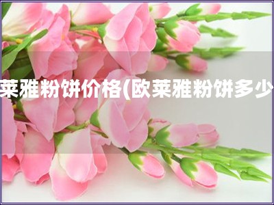 歐萊雅粉餅價格(歐萊雅粉餅多少錢)