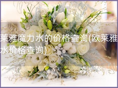 歐萊雅魔力水的價格查詢(歐萊雅魔力水價格查詢)