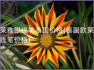 歐萊雅眼線筆泰國價格(泰國歐萊雅眼線筆價格)