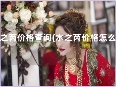 水之芮價(jià)格查詢(水之芮價(jià)格怎么查)