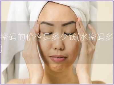 水密碼的價(jià)格是多少錢(qián)(水密碼多少錢(qián))