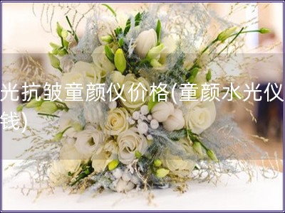 水光抗皺童顏儀價格(童顏水光儀多少錢)