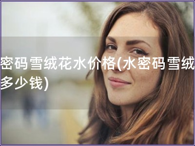 水密碼雪絨花水價格(水密碼雪絨花水多少錢)